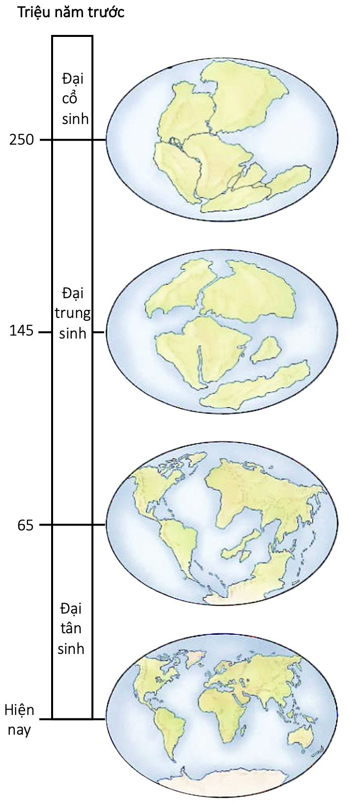 Bản đồ các châu lục qua các giai đoạn trôi dạt lục địa olm